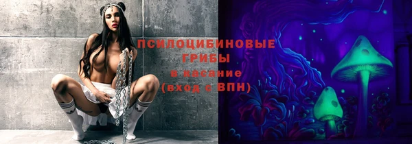 apvp Аркадак