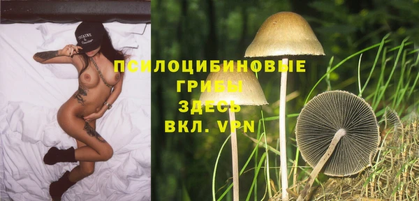 apvp Аркадак