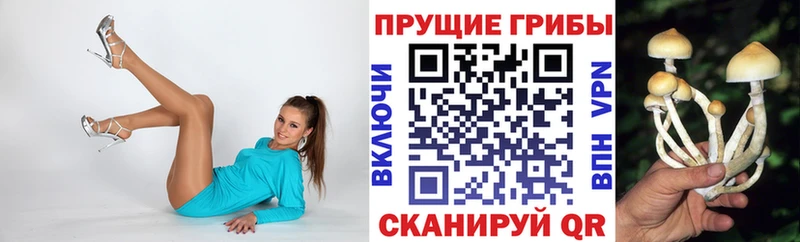 Псилоцибиновые грибы Cubensis  ссылка на мегу сайт  Перевоз 